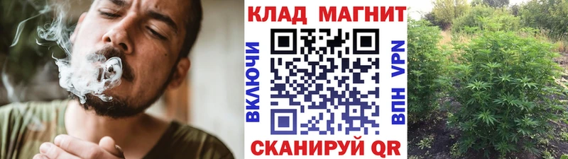 Купить закладку Гашиш  МЕФ  Олёкминск