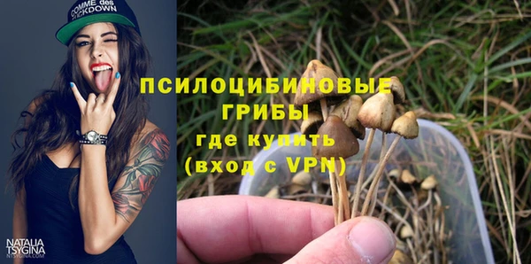 дживик Навашино